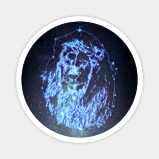 Lion Constellation Magnet